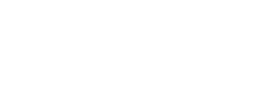 Berezi Logo